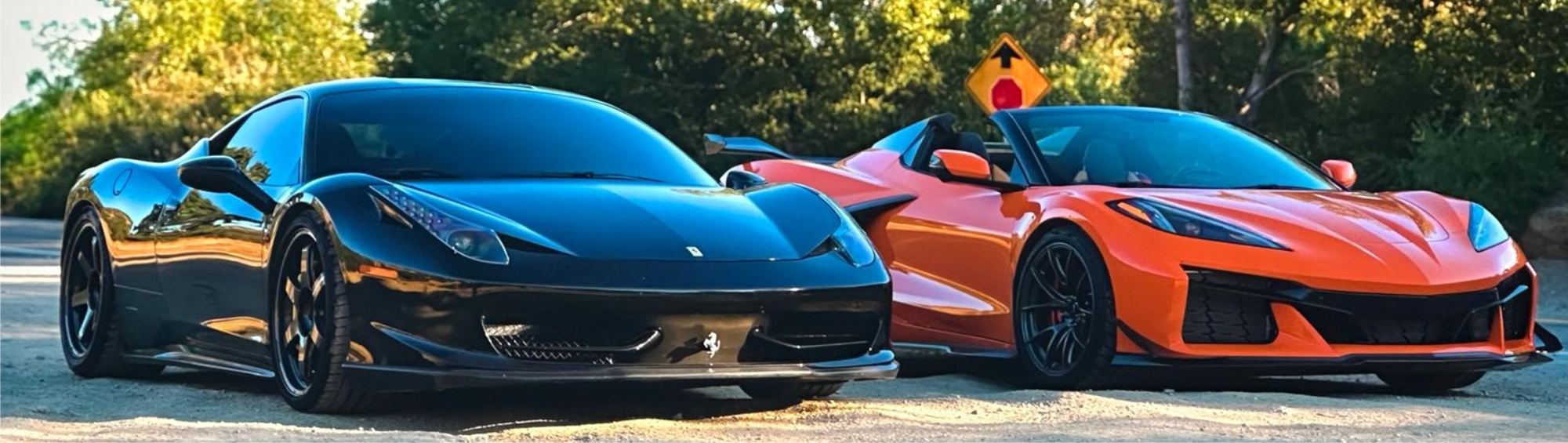 Premium Car Rentals